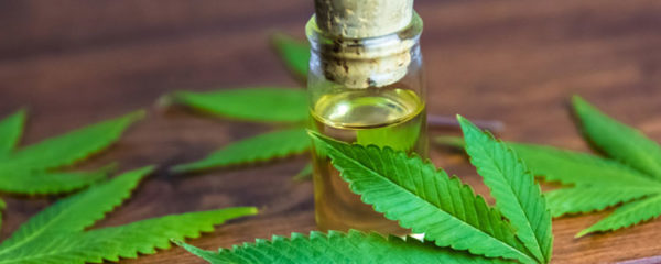 consommer du CBD