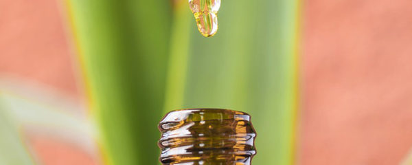 CBD