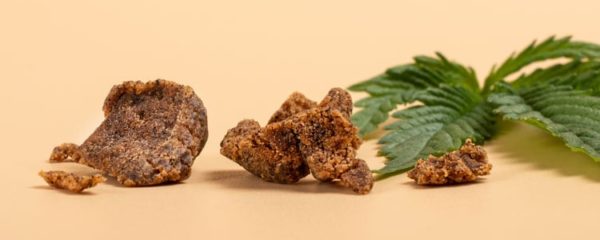 hash de CBD
