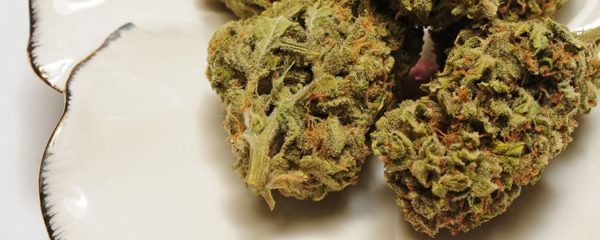 Mango Kush CBD